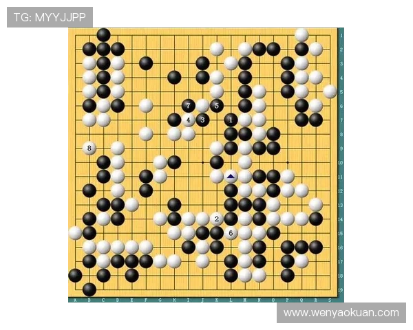 [棋牌]奇略研究所：柯洁常用定式解析（多谱）.